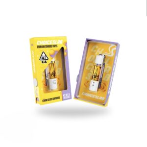 PAPAYA BOMB Choices Labs 1G Disposable | Authentic Choice Labs Carts